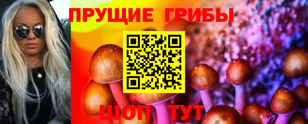 Галлюциногенные грибы ЛСД  Вход с VPN  Псилоцибиновые грибы Cubensis  Ачхой-Мартан 