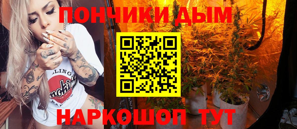 Каннабис планчик Ачхой-Мартан